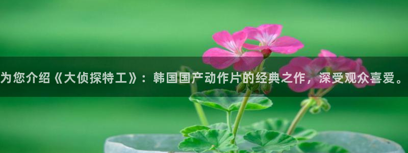人人片：为您介绍《大侦探特工》：韩国国产动作片的经典之作，深受观众喜爱。