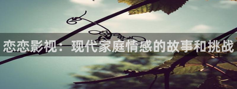 人人看视频：恋恋影视：现代家庭情感的故事和挑战