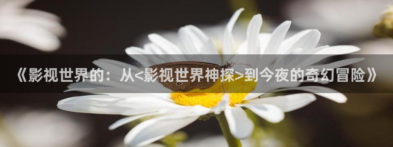 人人电影在线：《影视世界的：从<影视世界神探>到今夜的奇幻冒险》