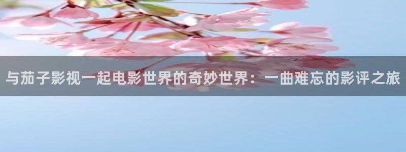 南京人人从众影视公司：与茄子影视一起电影世界的奇妙世界：一曲难忘的影评之旅