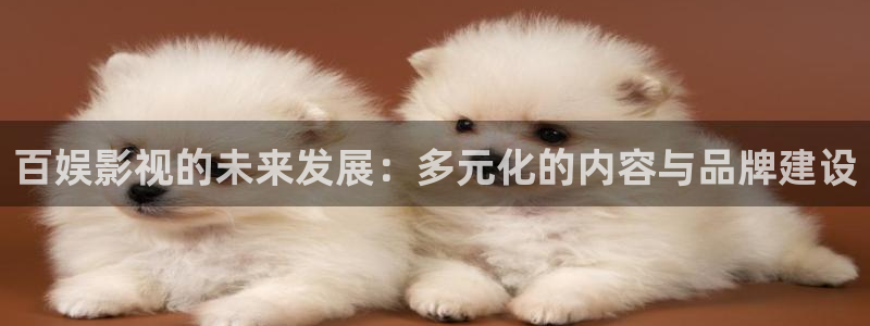 人人综合视频网站：百娱影视的未来发展：多元化的内容与品牌建设