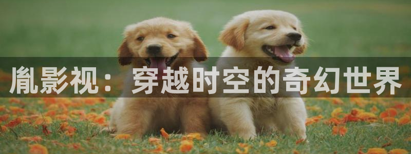 人人爽人人爽人人片：胤影视：穿越时空的奇幻世界
